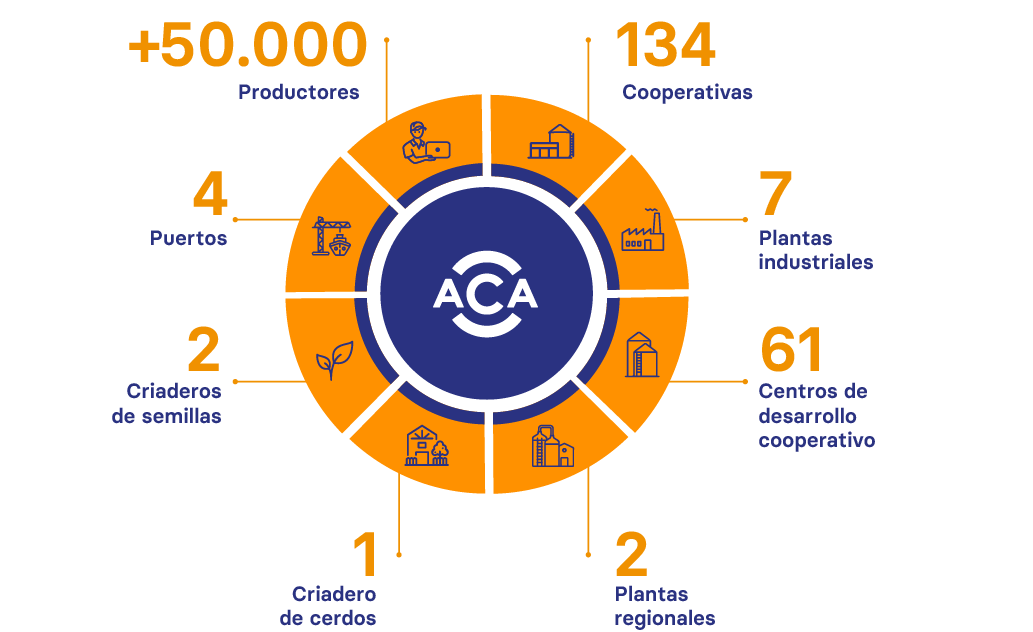 Cuadro de nuestra infraestructura: Más de 140 cooperativas, 2 Criaderos de Semillas, 5 plantas industriales, 50 centros de desarrollo cooperativos, 4  plantas regionales, 4 puertos, 1 criadero de cerdos, 50000 productores