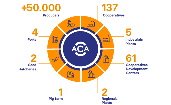 More than 140 cooperatives, 2 seed hatcheries, 5 industrial plants, 50 cooperative development centers, 4 regional plants, 4 ports, 1 pig farm, 50000 producers