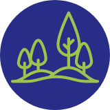 deforestación